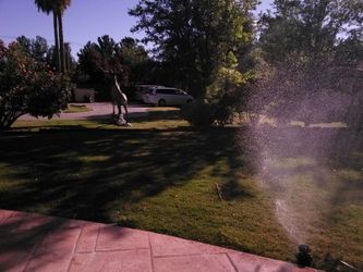 west side upper valley, Santa Teresa, Sunland park