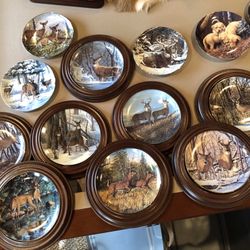Deer And Dog Plates