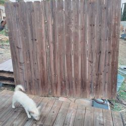 Reclaimed Wood Panels