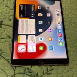 iPad 