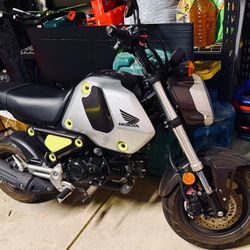 2023 Honda Grom
