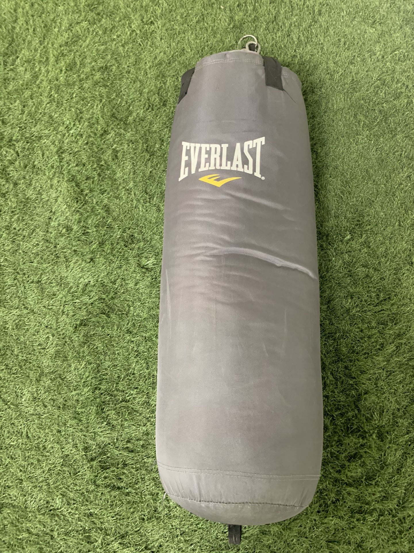 Everlast Punching Bag