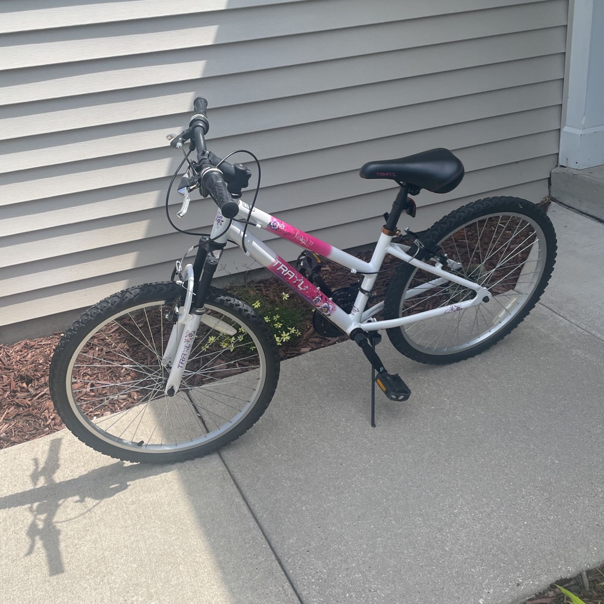 Trayl passage best sale 24 bike