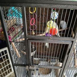 large cage with 3 🦜