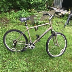 Diamondback Wildwood Mountain Bike