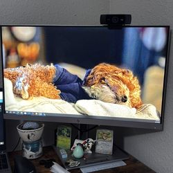 Hp Monitor missing power cable