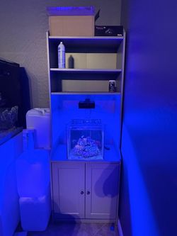 Fiji 11 Gallon Cube
