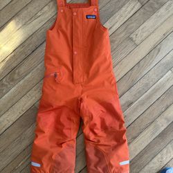 Patagonia Snow Pants 