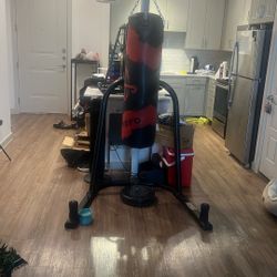 Punching Bag And Stand 