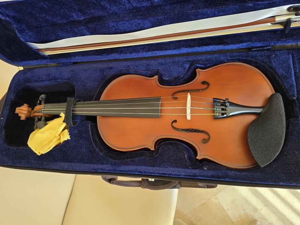 violin 🎻