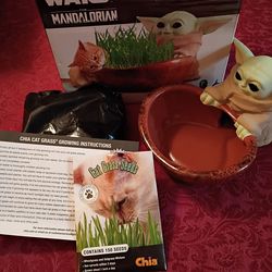 Cat Grass Planter Start Wars. NEW