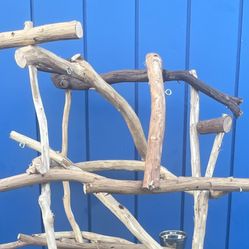 Thick And Curvy Macaw Cockatoo Perch Tree … AAA+ Quality … Great Socializer For That Gnarly Macaw!! 
