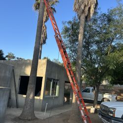 28 Ft Ladder Louisville 