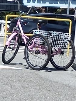 New 3 wheel bike . Good condition,