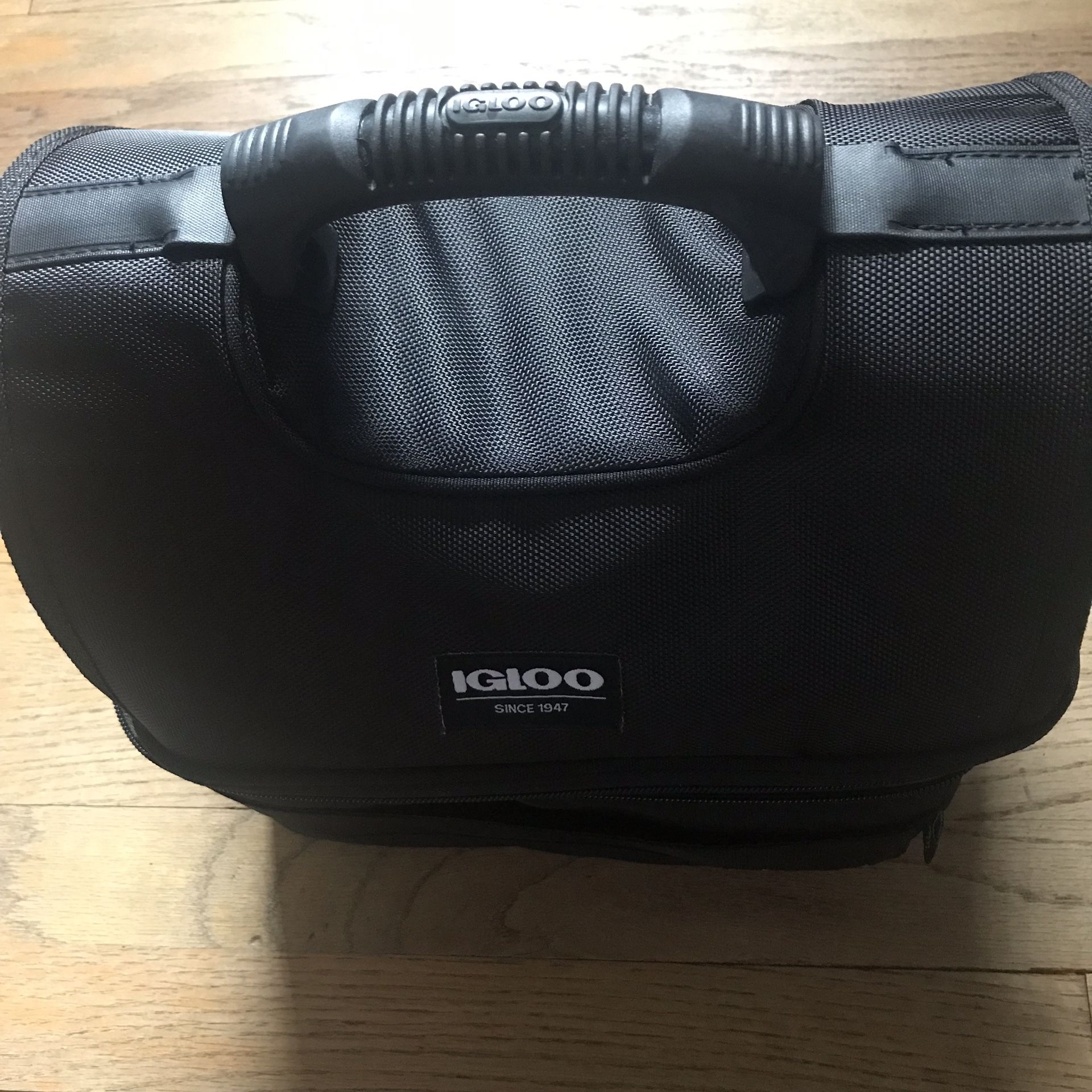 Igloo, insulated, travel, and carry food bag