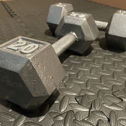 Cast Iron Hex Dumbbells 20 pounds  In New Condition