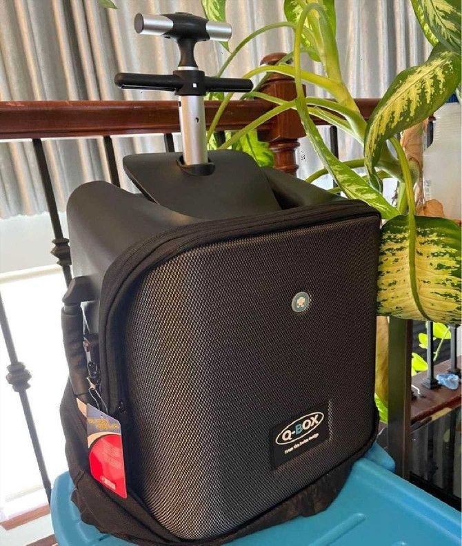 Set Out on Journeys with Robust Luggage Collections! issue road