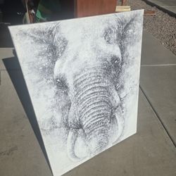 Elephant Canvas 