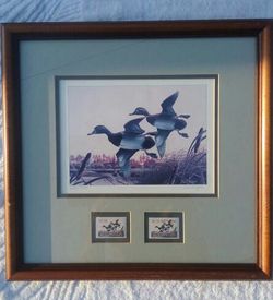 Framed Print of 1987 Georgia Waterfowl Conservation Duck Stamp