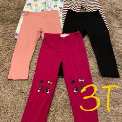 Winter/fall Girl Pants  Clothes Size 3T