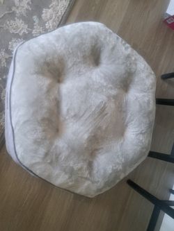 LARGE ( Like- New) DOG BED