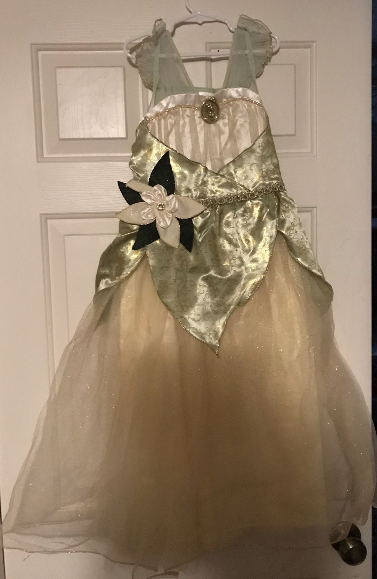 Tiana dress up costume (Disney Store) 7/8