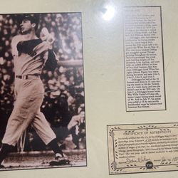 Certificate Of Authenticity Joe DiMaggio