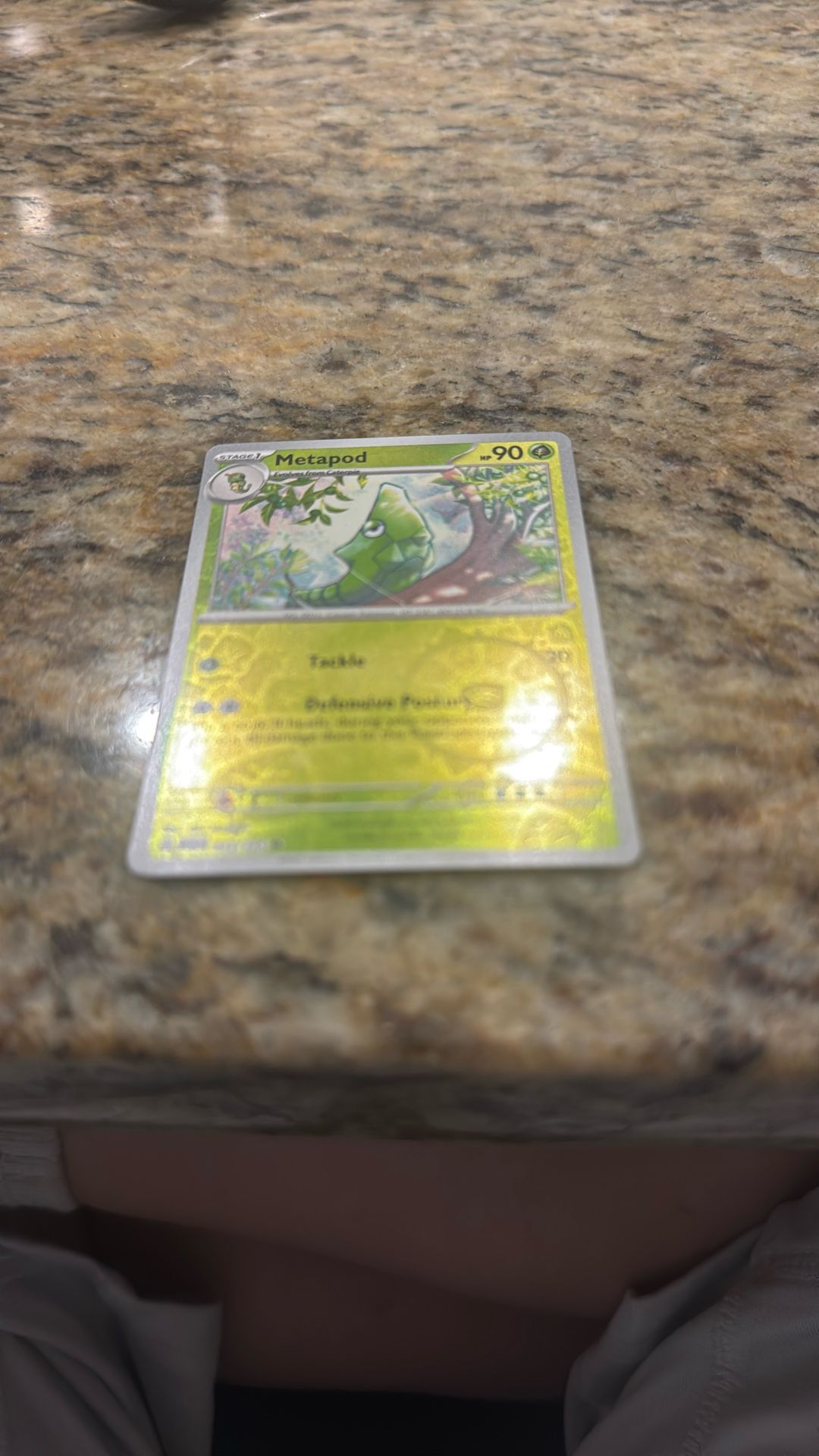 Metapod Pokémon Card