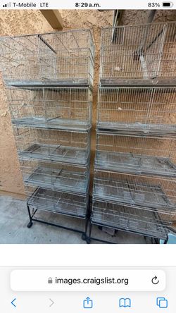 Jaulas en $80