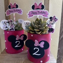 Customized Birthday Center Pieces Succulent Planters 
