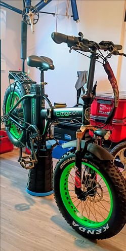 Foldable E-Bike Eco-Motion Mini Pro e-Fat Tire Electric Bike