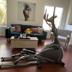 Elliptical  Great Condition  $250