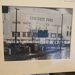 Comisky Park