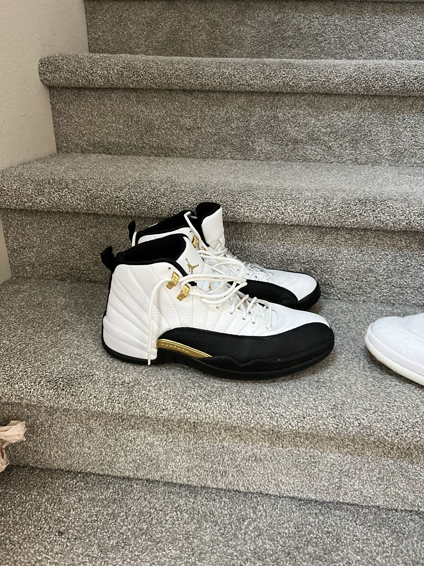 Jordan 12