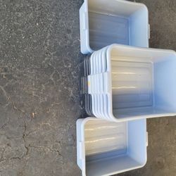 Storage Trays