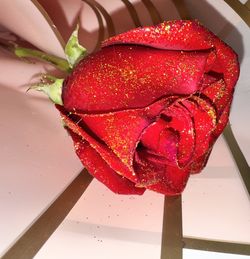 Real Glitter Roses 