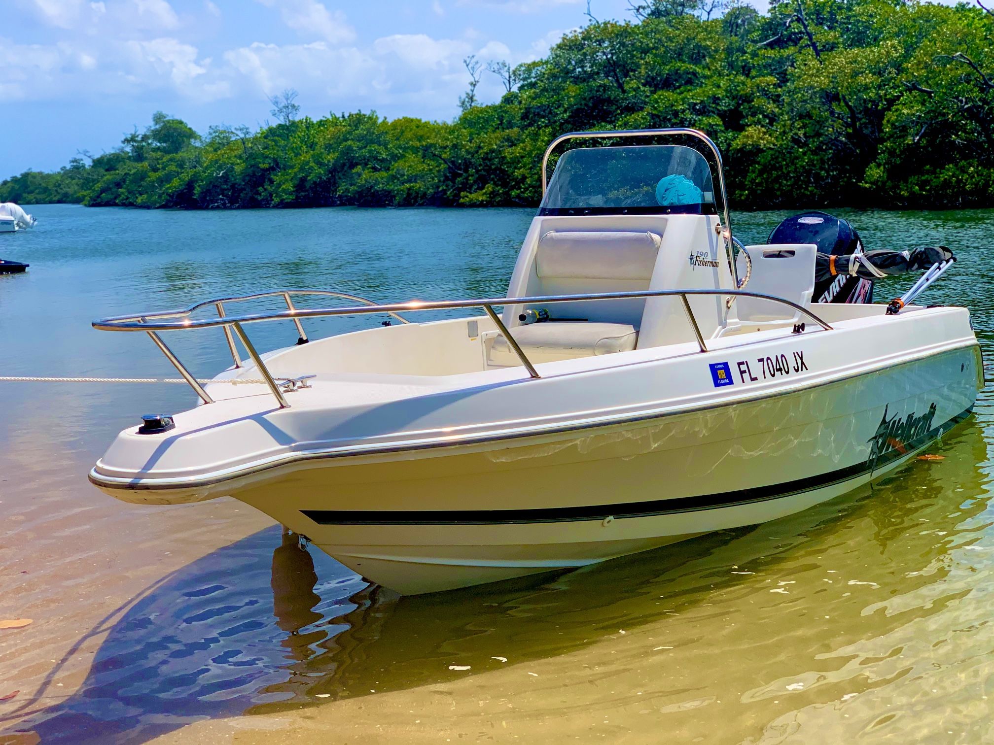 Photo Wellcraft Boat With 225 Evinrude Etec
