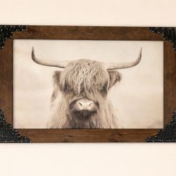 Highland Cow Canvas Picture