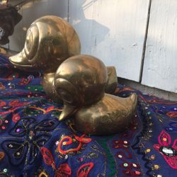 Ducks