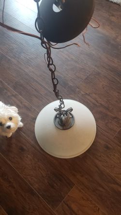 Chandelier /  pendant dining room light