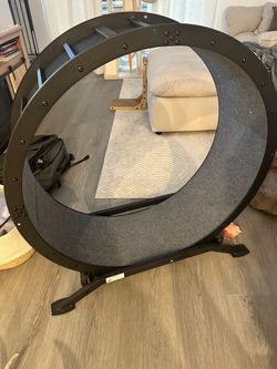 Cat Wheel