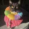 mimi