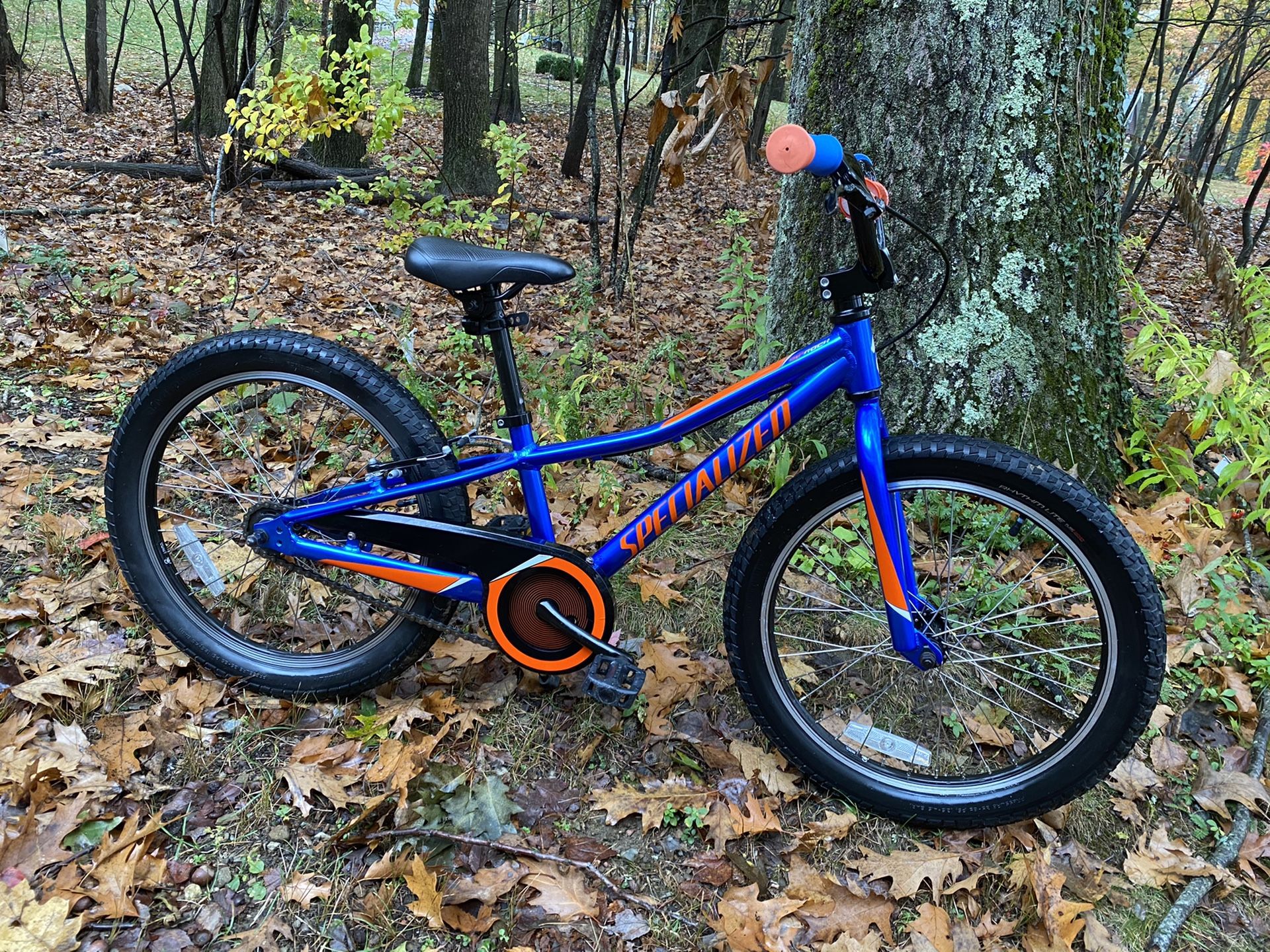 2020 SPECIALIZED RIPROCK COASTER - royal blue - 20” bike