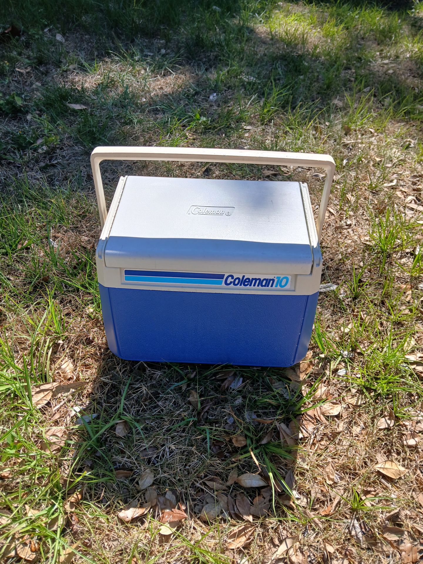 Coleman 10 cooler