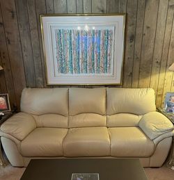 Beautiful Leather Living Furniture Set