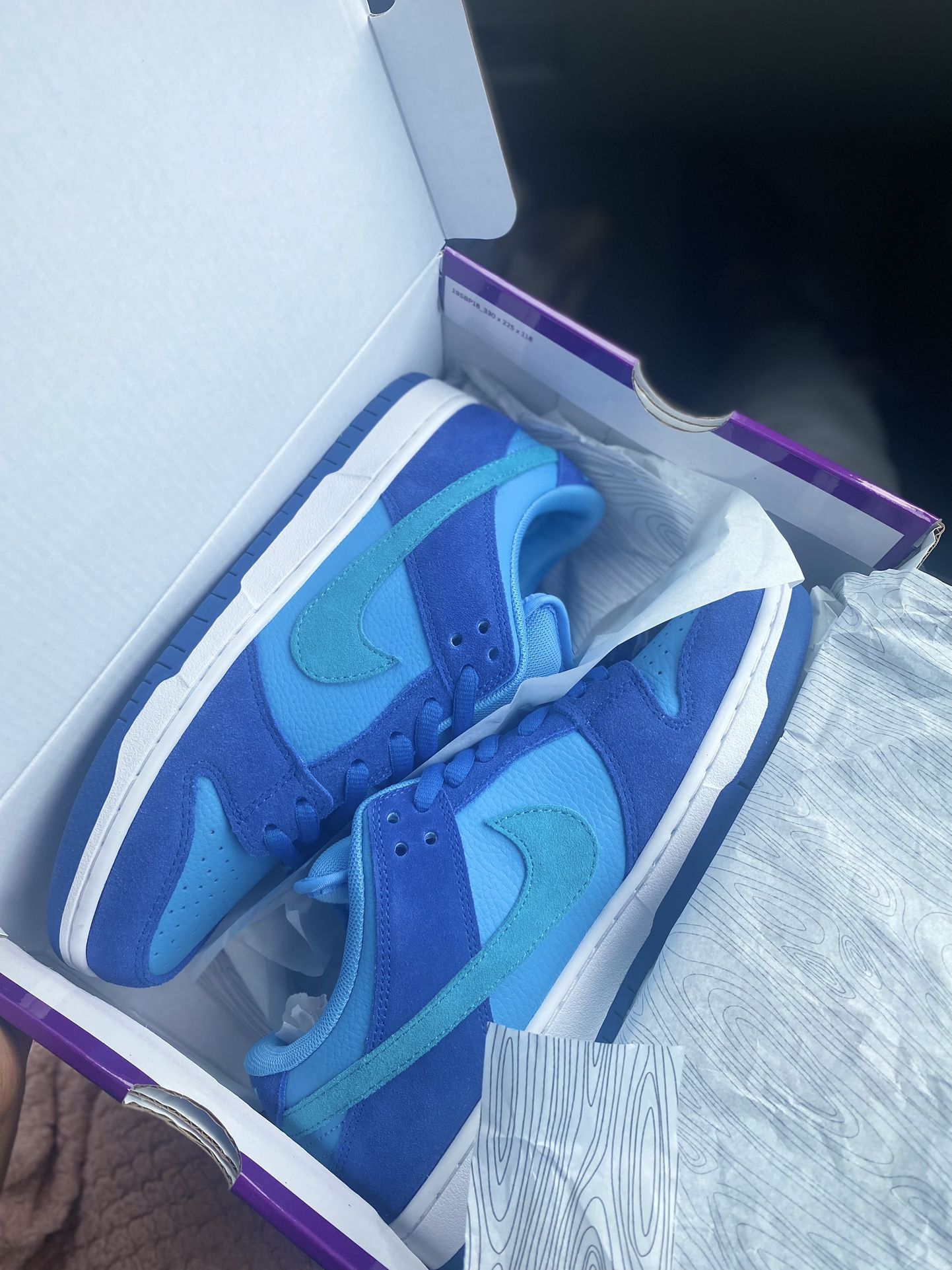 Size 8.5- Nike Dunks Low Sb Fruity Pack- Blue Raspberry 