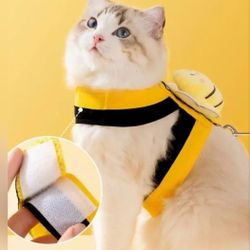 Cat - Little Bee Harness Set