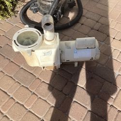 Pool Pump 