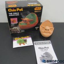 The Child Chia Pet Planter. Item No 942 (Shopgoodwill)