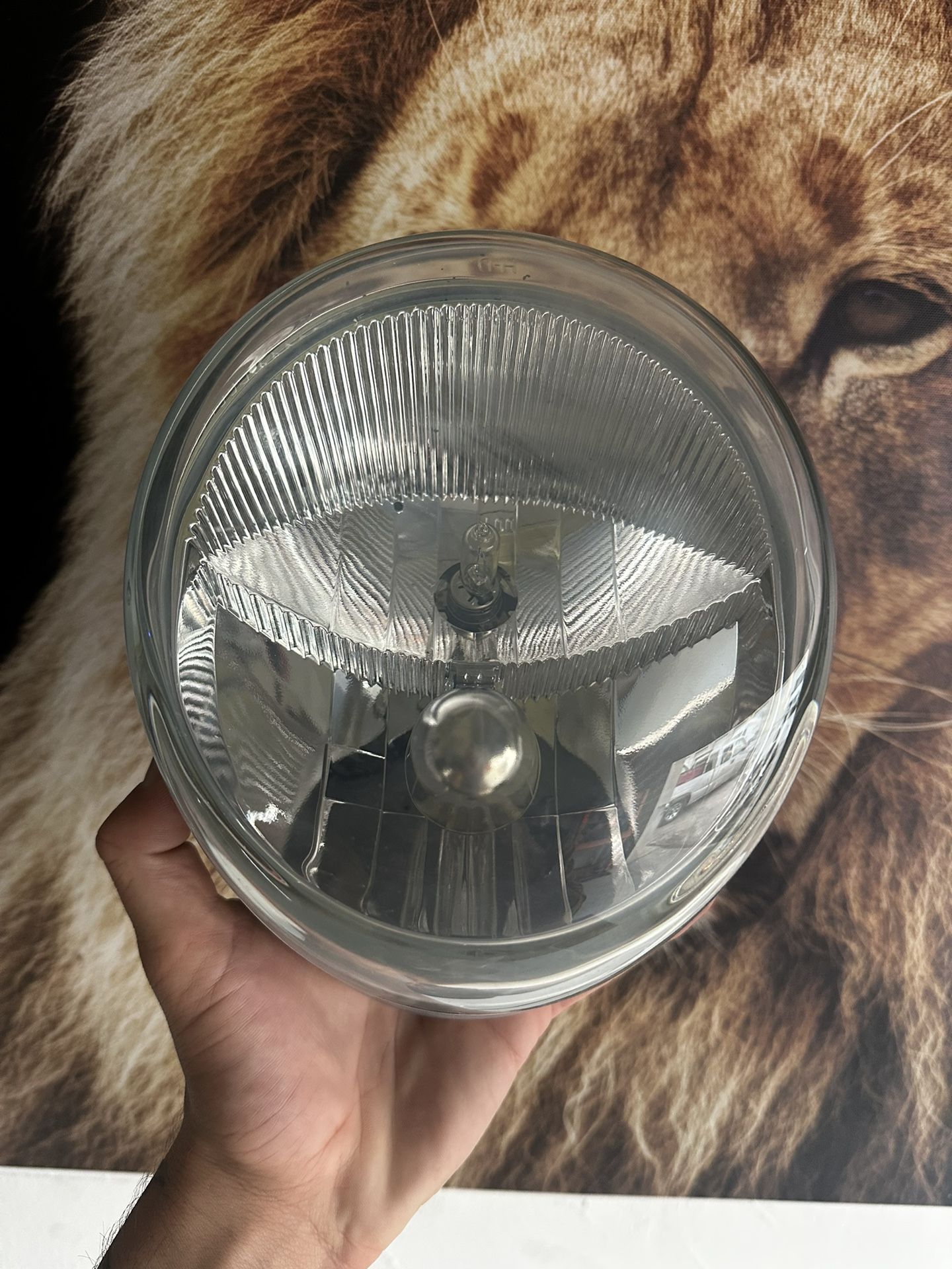 Harley Davidson V ROD Headlight
